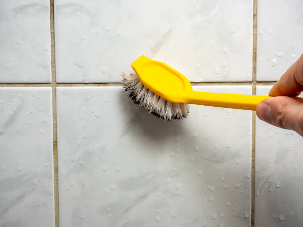 Best Mold Removal Company Near Me  in Longview, WA